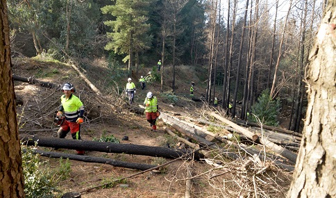La Junta destina por primera vez más fondos a la prevención que a la extinción de incendios.