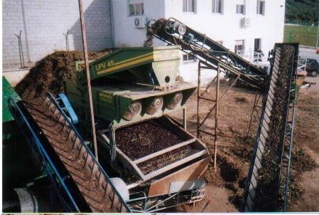 El PSOE lamenta que la Junta no haya impulsado ni una sola medida de empleo para paliar la escasez de jornales en la aceituna.