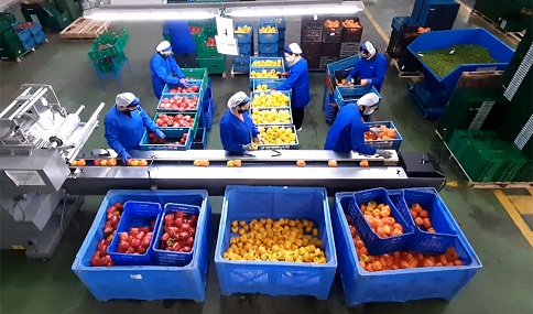 El Ministerio de Agricultura, Pesca y Alimentación convoca 875.000 euros en ayudas para entidades asociativas del sector agroalimentario.