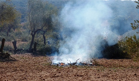 Prolongada la prohibición de las quemas agrícolas para prevenir incendios forestales hasta el 8 de mayo.