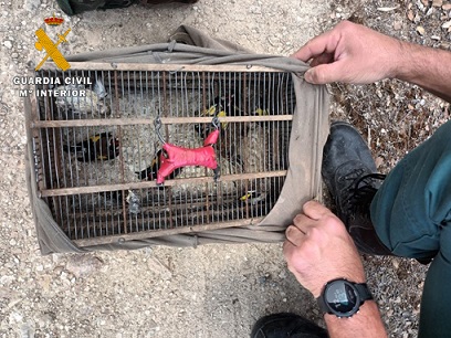 La Guardia Civil está investigando al presunto autor de un Delito Contra la Flora y Fauna.