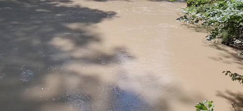 UPA Jaén muestra su indignación porque la CHG limpia los fondos de los pantanos con el desembalse y esa agua tan turbia no se puede usar para el riego.