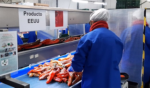 Las exportaciones andaluzas alcanzan los 17.117 millones hasta mayo.