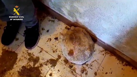 Detenidas cinco personas que captaban a sus víctimas a través de páginas online de contactos para falsificar su documentación personal.