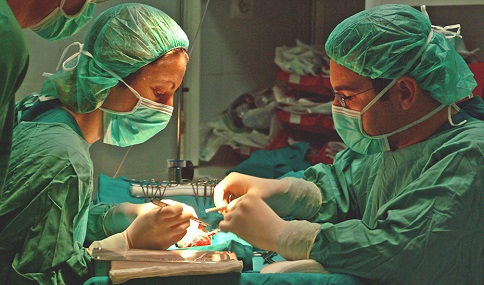 Los trasplantes de órganos suben un 21% en Andalucía en los seis primeros meses del año.
