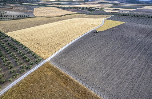 La ubetense Katy Gómez gana la primera edición del Premio de Fotografía sobre el Paisaje Giennense convocado por el IEG.