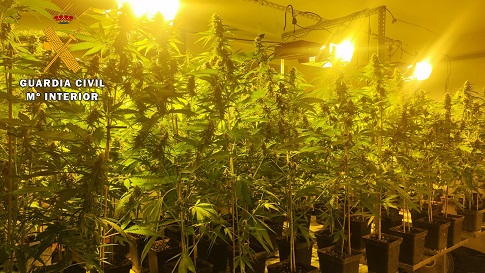 La Guardia Civil detiene a los cuatro presuntos autores de un Delito Contra la Salud Pública.