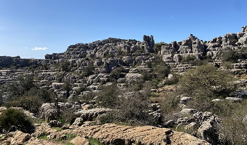 Casi 41.000 escolares participan en el programa de visitas guiadas a espacios naturales de Andalucía.
