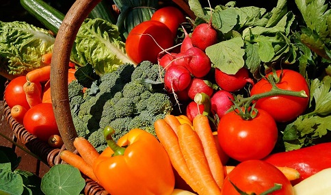 El Gobierno andaluz promueve el asesoramiento a productores ecológicos con cuatro millones en ayudas.