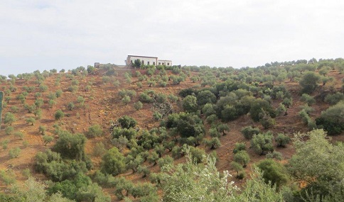 La Junta abona más de 13,6 millones de ayudas de desarrollo rural a zonas con limitaciones naturales.