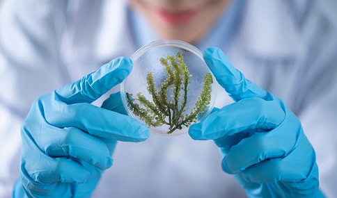 Casi seis millones de euros en ayudas a 24 proyectos de I+D en biodiversidad y cambio climático.
