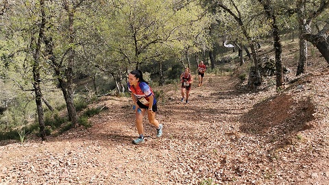 Diputación comienza mañana dos de los programas deportivos que cuentan con mayor participación.