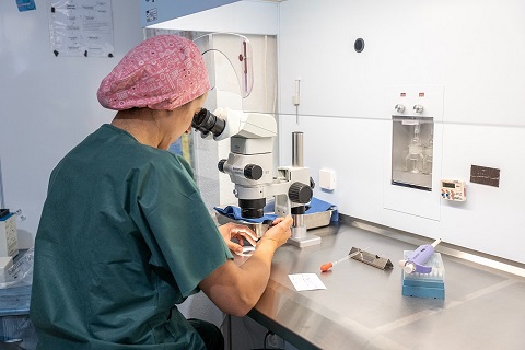 La Unidad de Reproducción Asistida del Hospital Universitario de Jaén registra 165 embarazos.