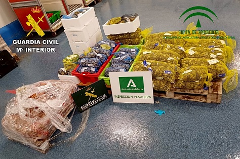 La Guardia Civil ha intervenido 341 kilogramos de Chirla y Almeja Japonesa, con una talla inferior a la reglamentaria.