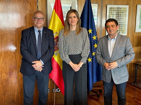 Reyes aborda con la Secretaria de Estado para la Energía la planificación de infraestructuras eléctricas en la provincia.