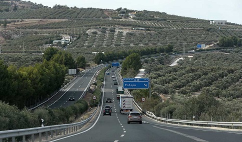 Adjudicada la revegetación de autovías de Sevilla, Huelva, Córdoba y Cádiz con 4.200 plantas y arbustos.