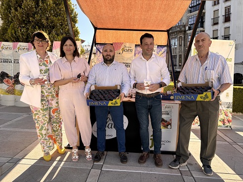 El Palacio Provincial acoge la XI Muestra de la Breva de Jimena que organiza Diputación.