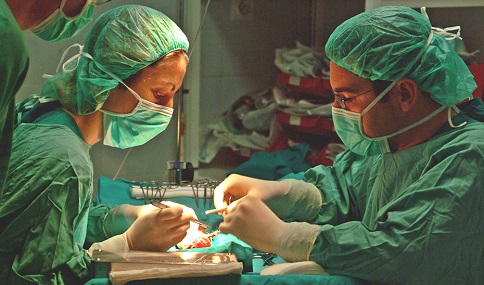 Andalucía registra 212 donaciones de órganos en 2024, trece más que en el mismo periodo de 2023.