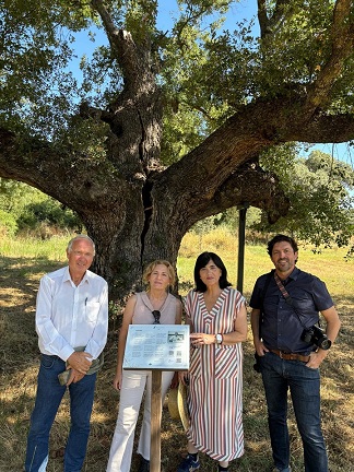 Miguel Hernández y su poema “Aceituneros” forman ya parte de la iniciativa Bosque Poético.