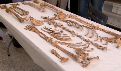 La Junta destinó más de 1,5 millones a actuaciones de memoria democrática en Andalucía durante 2023.