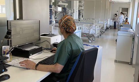 Investigadores de la UJA identifican un compuesto del olivo que mejora la recuperación tras un ictus.