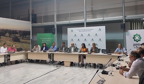 Andalucía prevé una producción de 2,2 millones de toneladas de cítricos en la campaña 2024-2025.