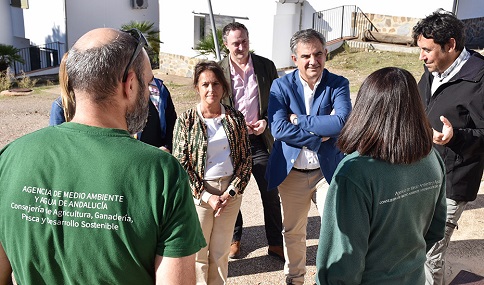 El Centro de Cría de Lince La Olivilla reintroduce en el medio natural 38 cachorros desde 2019.