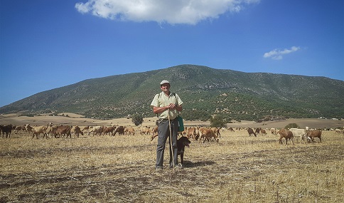 Andalucía refuerza la prevención de incendios forestales con actuaciones en 43.000 hectáreas de montes públicos.