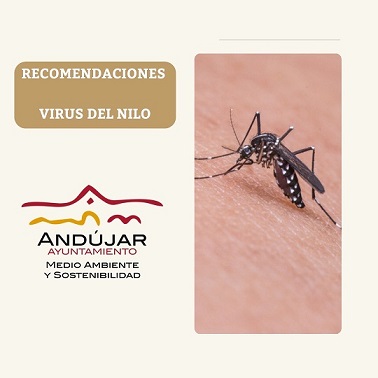 El Ayuntamiento de Andújar refuerza la prevención contra el Virus del Nilo con un plan de vigilancia y control de mosquitos.