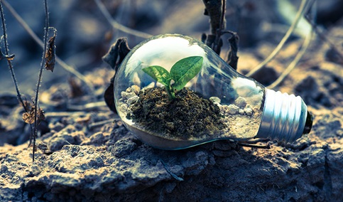 El 96% de los municipios andaluces aprobará sus planes contra el cambio climático en 2025.