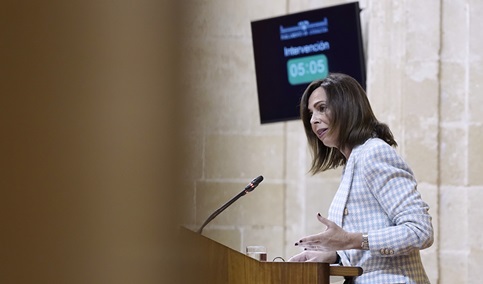 Andalucía impulsa la construcción de 6.700 viviendas y el desarrollo de suelos para 17.500 más.