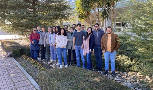 Andalucía demuestra la rentabilidad económica y ambiental del método que logra antioxidantes de las hojas del olivo.