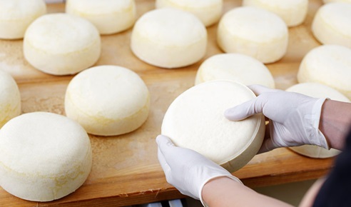 Cuatro queserías andaluzas triunfan en los World Cheese Awards con seis galardones.