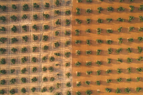 El IEG de la Diputación concede el II Premio de Fotografía sobre el Paisaje Giennense a Manuel Jesús Carrasco.