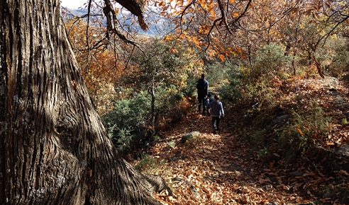 Andalucía potencia el senderismo en espacios naturales protegidos con nuevas herramientas digitales.