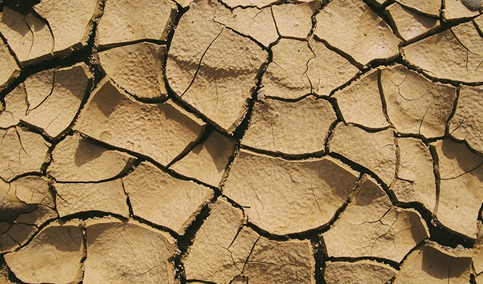 La Junta concede 8 millones a 30 entidades para desarrollar 23 proyectos innovadores frente a la sequía.