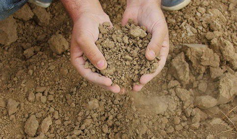 Cinco universidades públicas recibirán 3,65 millones para desarrollar 16 proyectos innovadores contra la sequía.