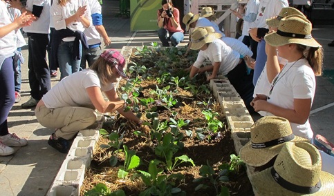 Más de 720.000 alumnos de 2.100 centros participarán en los huertos escolares del ‘Programa Aldea’.