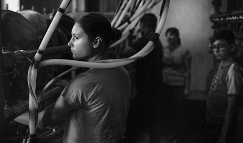 ‘Un ordeño en familia’, ganadora del VI Concurso Fotográfico Medio Rural y Pesquero en Andalucía.