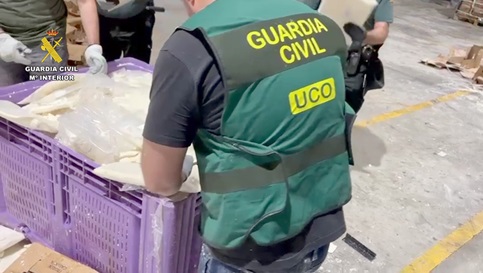 Desarticulada una organización criminal que importaba cocaína oculta en fruta, mediante contenedores con destino al puerto de Sevilla.