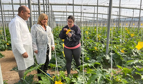 La Junta impulsa el relevo generacional en el campo andaluz con 130 millones para jóvenes agricultores.