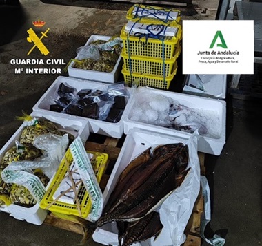 La Guardia Civil interviene pescado y molusco no apto para consumo.