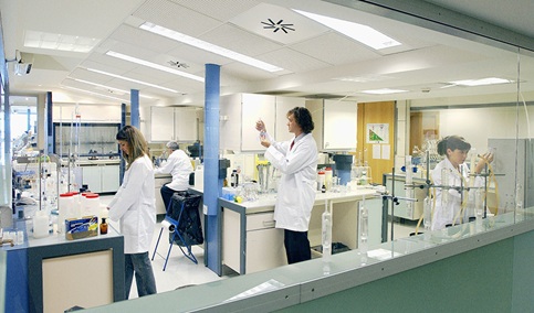 La Junta inyecta 1,32M€ a la Universidad de Jaén para contratar a jóvenes investigadores y técnicos de apoyo a la I+D.