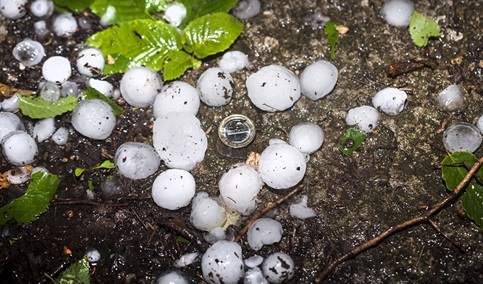 La Junta ultima pagos de ayudas a seguros agrarios tramitadas en 2024 que alcanzan los 15,6 millones.