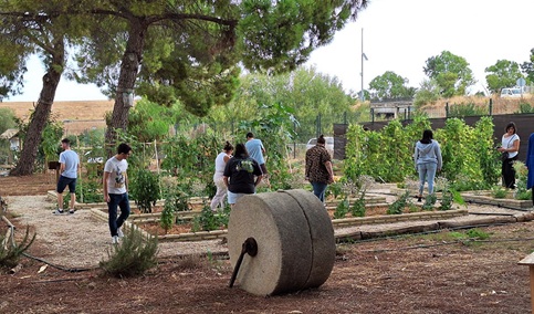 Más de 800 andaluces han participado en las jornadas ‘Tu huerto, tu salud, tu planeta’.
