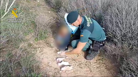 Investigado por abandonar seis cachorros en el interior de un saco de pienso.