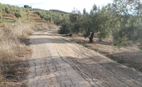 El PP de Jaén denuncia que la Vía Verde entre Jaén y Torredelcampo está “intransitable” para corredores, ciclistas y paseantes.