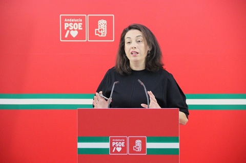 El PSOE propone una Conferencia de presidentes de Diputación con el Consejo de Gobierno de la Junta.