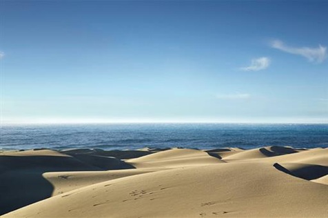 El gasto total de los turistas internacionales supera en enero los 7.100 millones de euros, un 8,9% más que en el primer mes de 2024.