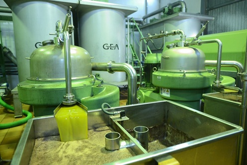 Récord histórico de exportaciones de aceite de oliva en 2024, con 4.570 millones y un alza del 39%.